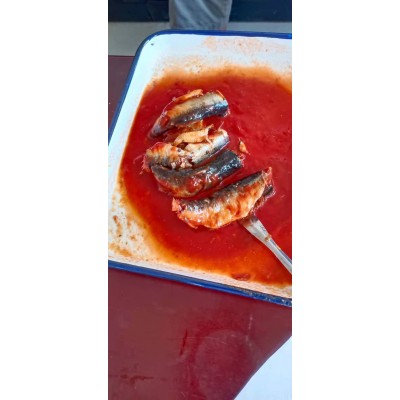 Canned mackerel  tomato sauce