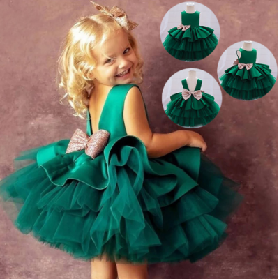 Girl Princess Dress