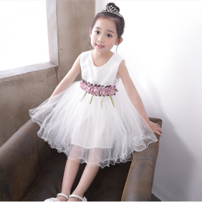 Girl Cute Princess Dress