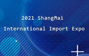 2020 Shanghai International Import Expo