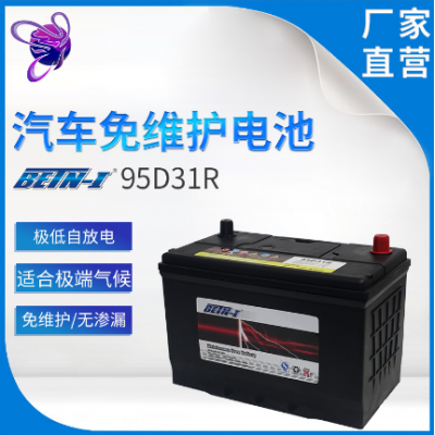 95D31R Energy Storage Battery