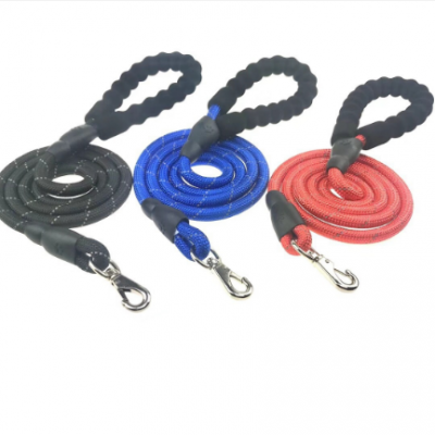 Dog Nylon Leash