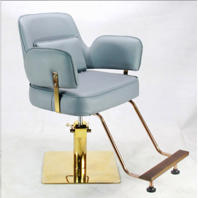 Salon Stool Pump Chair