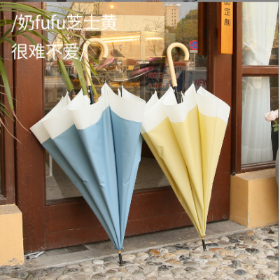 Long Simple Umbrella