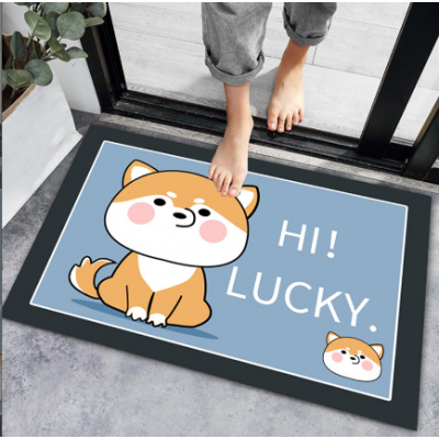 Door Rug Mat Carpet