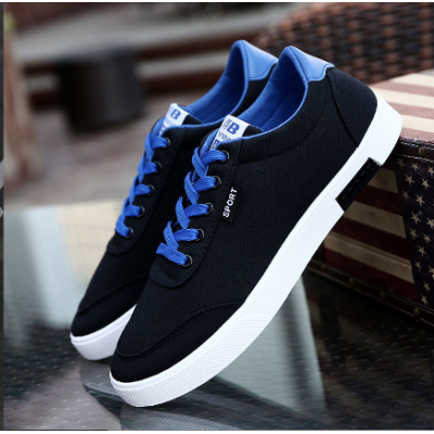 Men's Canvas Shoes