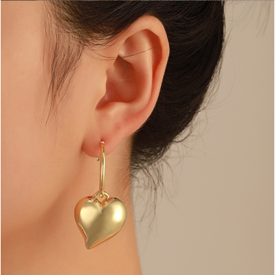 Women Ins Fashion Earrings