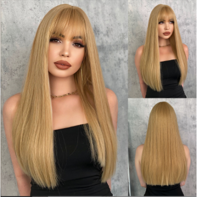 Women Long Straight Lace Wigs