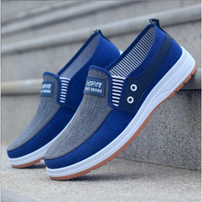 Men's Casual Canvas Shoes