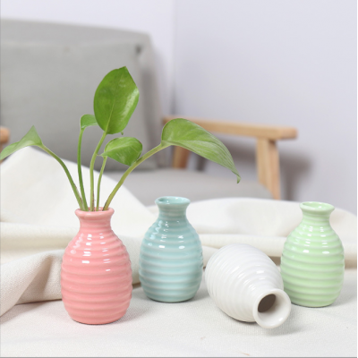 Mini Flower Vase Home Decor