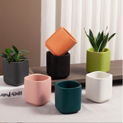 Home Flowerpot Plant Pot