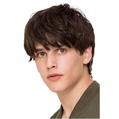 Men's Fashion Short Wig