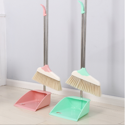 Home Broom and Dustpan