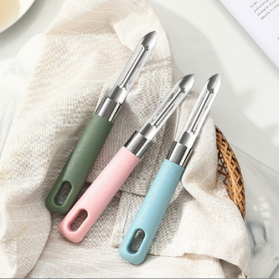 Fashion Fruit Vegetable Peeler