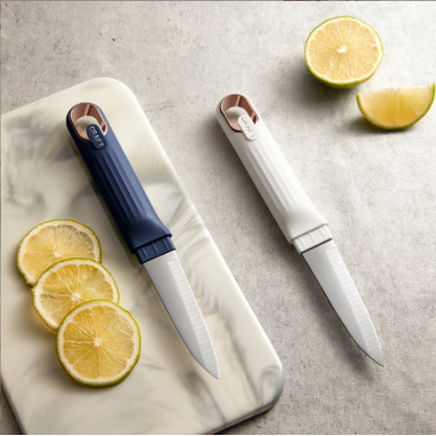 Home Fruit Knife