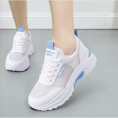 Women Mesh Sneakers Shoes