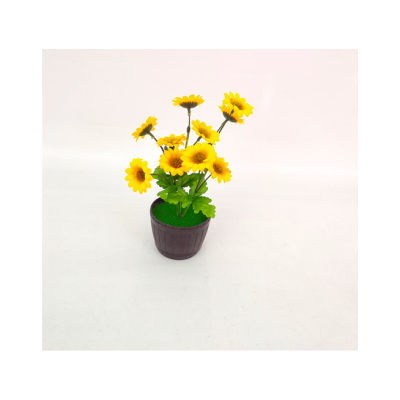 Sunflower Shape Plant Bonsai