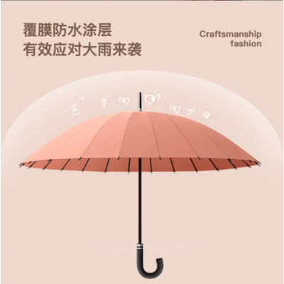 Ins Long Handle Umbrella