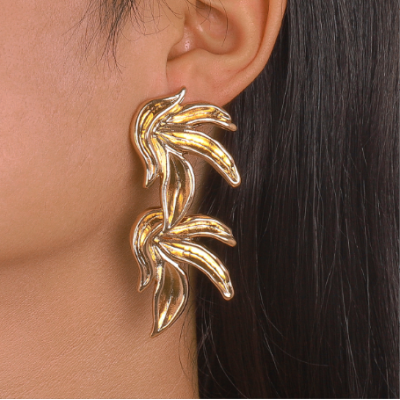 Women Irregular Earrings