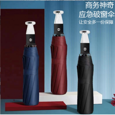 Men Business Umbrella