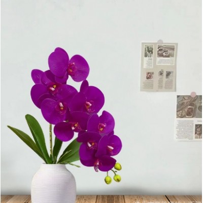 Moth Orchid Artificial Plants