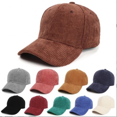 Winter Fashion Baseball Cap