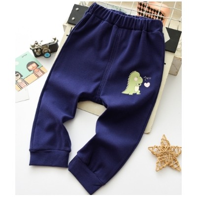 Kids Dinosaur Pants