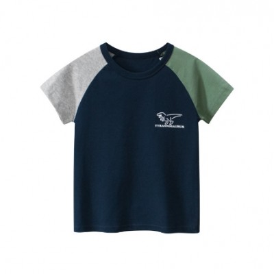 Kids Boy Dinosaur Top